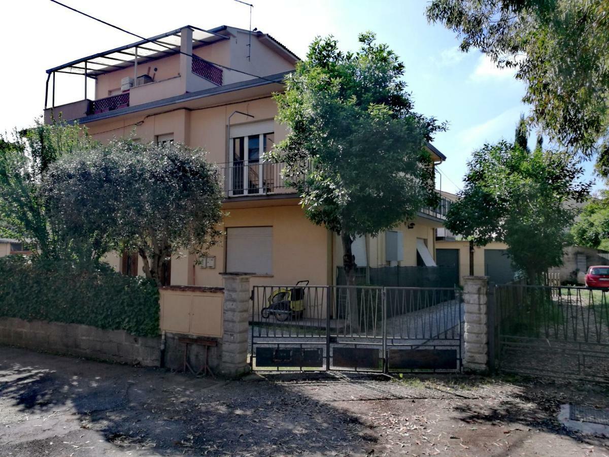 פיזה Il Merlo מראה חיצוני תמונה